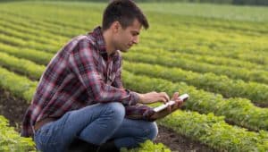 profissional de agronomia