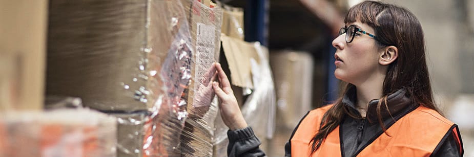 profissional de logística