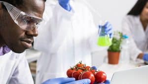 estudante de nutrição