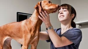 médica veterinária