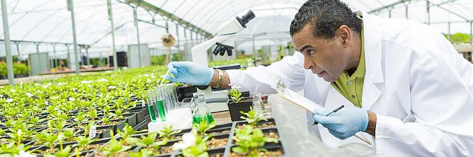 profissional de agronomia campo grande