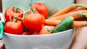 legumes representando nutrição