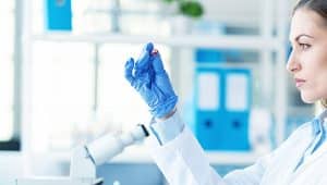 trabalhar com pesquisa