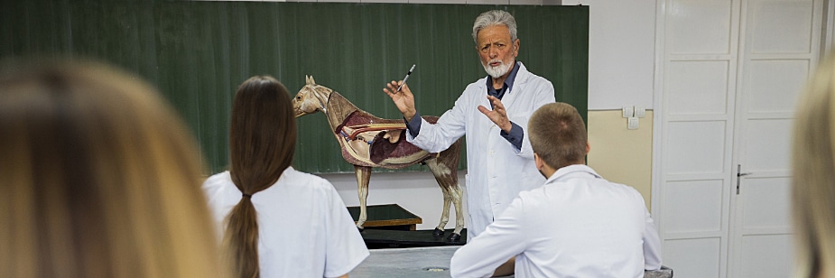 melhor faculdade de medicina veterinária do brasil