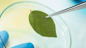 Biotecnologia