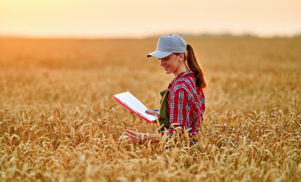 Mulher em meio a uma plantação de trigo. Ela carrega uma prancheta e caneta. Características pessoais que devo ter para ser um agrônomo.