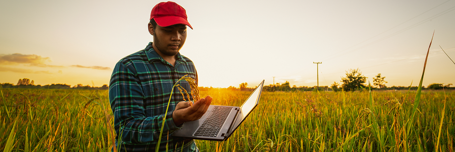 Homem andando por plantação e carregando um computador. Características pessoais que devo ter para ser um agrônomo