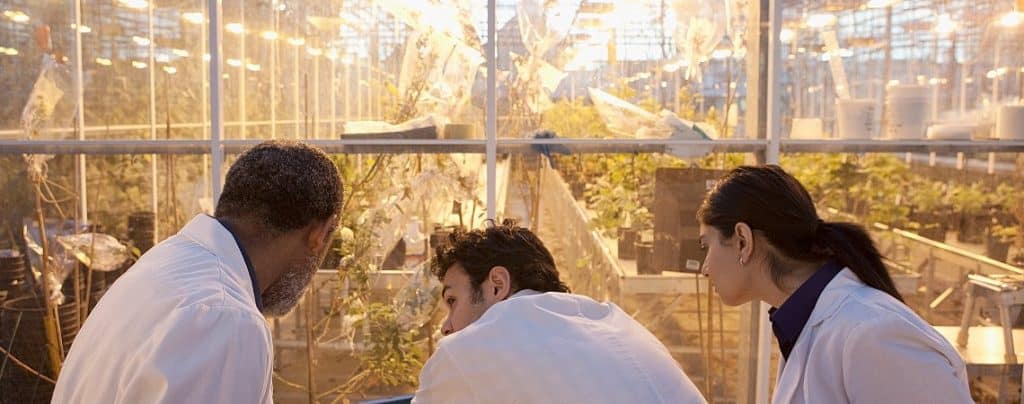 Faculdade de Agronomia valor