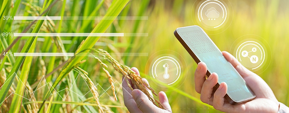 Internet das Coisas na Agronomia