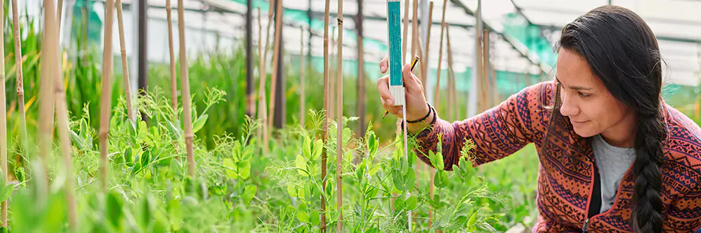 Moça analisando plantação em estufa