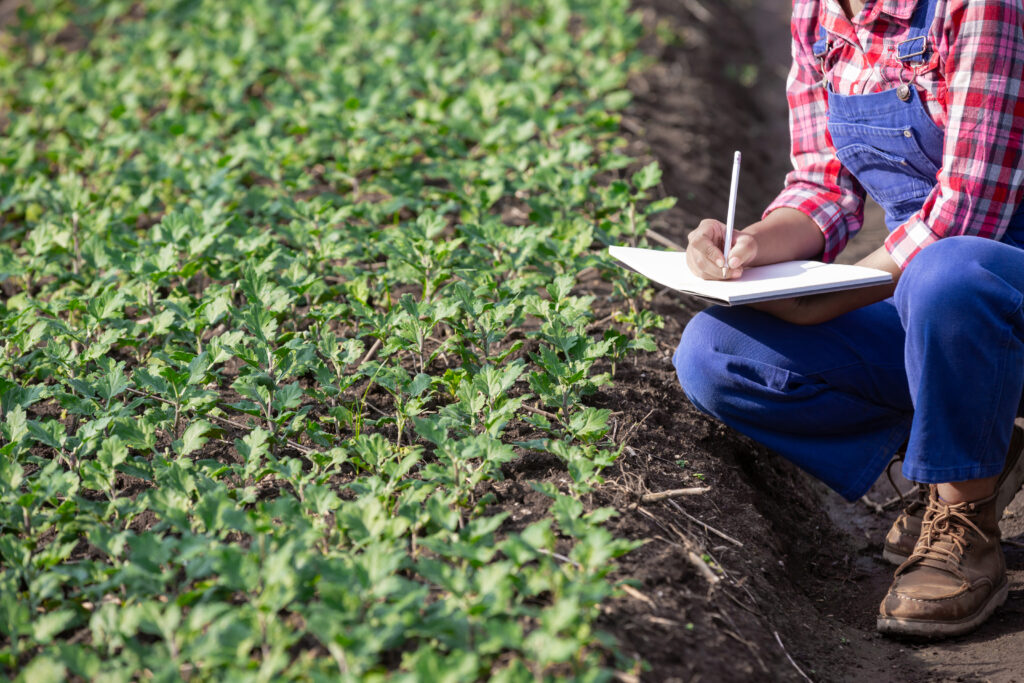 tecnólogo em Agrocomputação